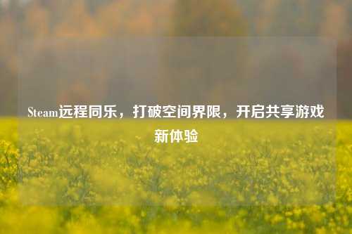 Steam远程同乐,打破空间界限,开启共享游戏新体验