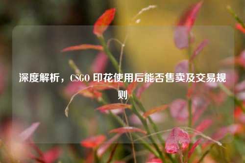 深度解析，CSGO 印花使用后能否售卖及交易规则