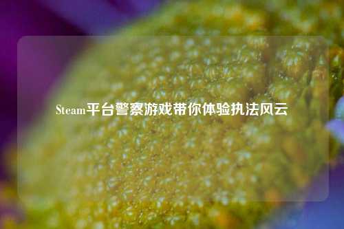 Steam平台警察游戏带你体验执法风云