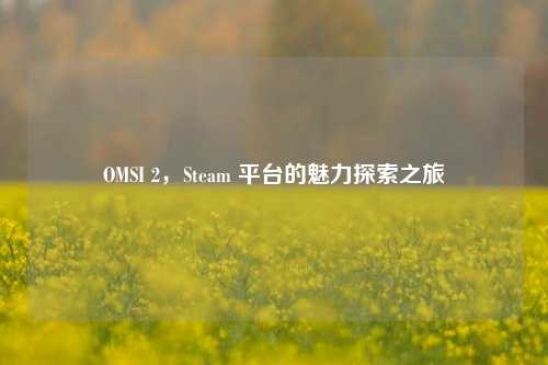 OMSI 2，Steam 平台的魅力探索之旅