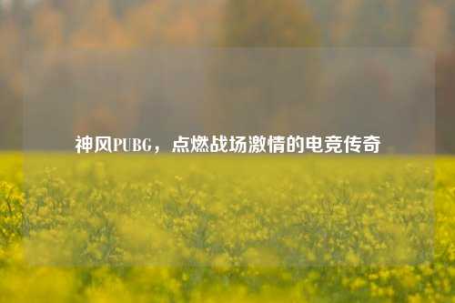 神风PUBG，点燃战场激情的电竞传奇