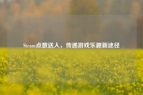 Steam点数送人，传递游戏乐趣新途径