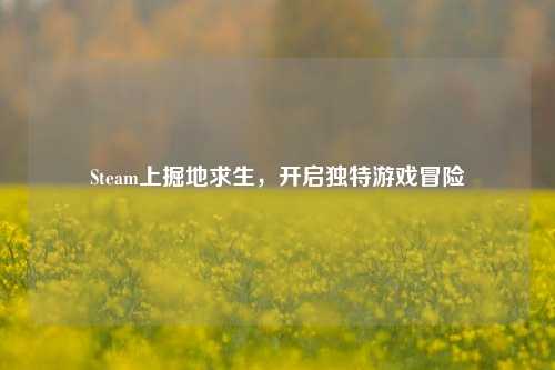 Steam上掘地求生，开启独特游戏冒险