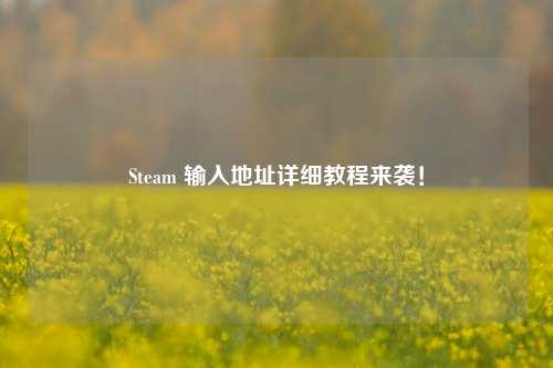 Steam 输入地址详细教程来袭!