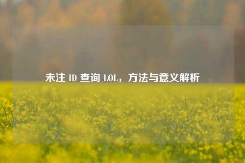 未注 ID 查询 LOL，方法与意义解析