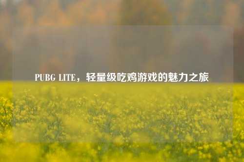 PUBG LITE,轻量级吃鸡游戏的魅力之旅