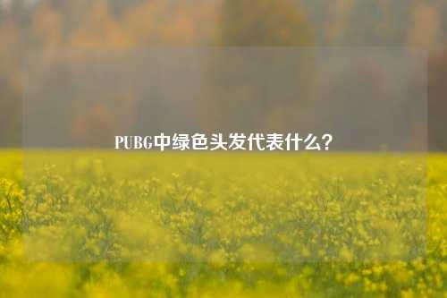 PUBG中绿色头发代表什么？