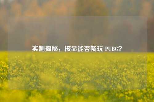 实测揭秘，核显能否畅玩 PUBG？