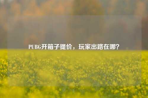 PUBG开箱子提价，玩家出路在哪？