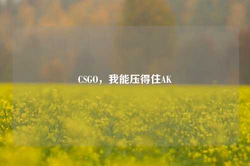 CSGO，我能压得住AK