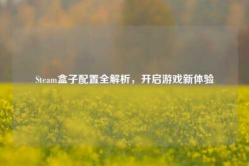 Steam盒子配置全解析,开启游戏新体验