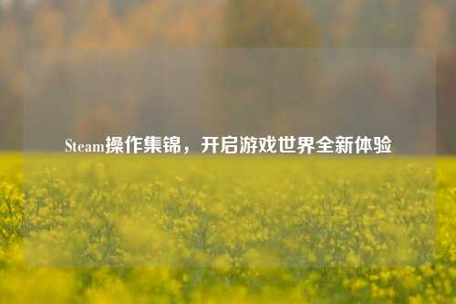 Steam操作集锦，开启游戏世界全新体验