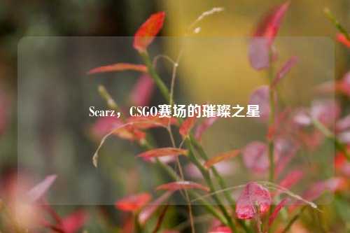 Scarz，CSGO赛场的璀璨之星