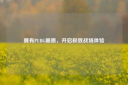 拥有PUBG画质,开启极致战场体验
