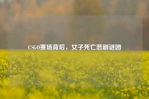 CSGO赛场背后,女子死亡悲剧谜团
