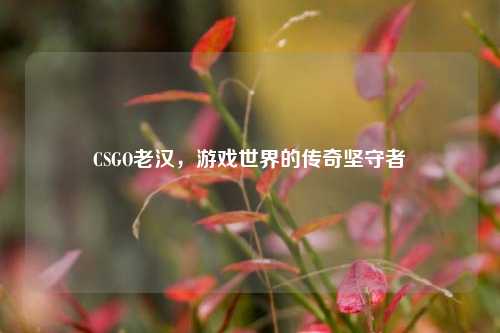CSGO老汉,游戏世界的传奇坚守者