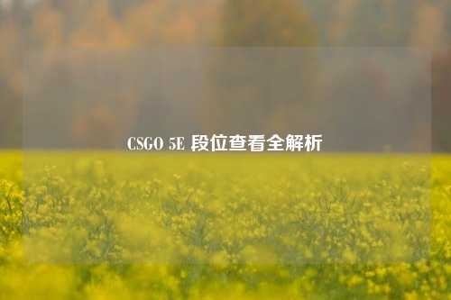 CSGO 5E 段位查看全解析