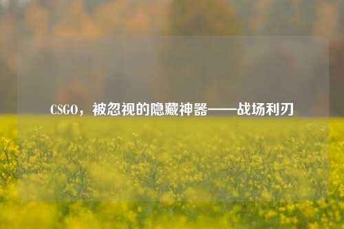 CSGO,被忽视的隐藏神器——战场利刃