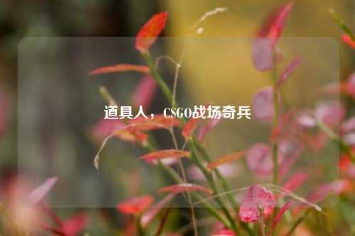 道具人,CSGO战场奇兵