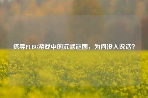 探寻PUBG游戏中的沉默谜团，为何没人说话？