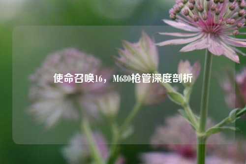 使命召唤16，M680枪管深度剖析