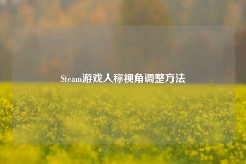 Steam游戏人称视角调整方法