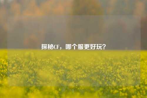 探秘CF，哪个服更好玩？
