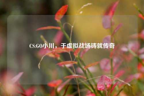 CS:GO小川，于虚拟战场铸就传奇