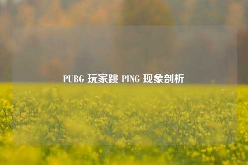 PUBG 玩家跳 PING 现象剖析