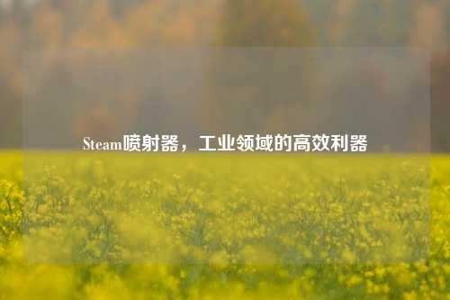 Steam喷射器，工业领域的高效利器