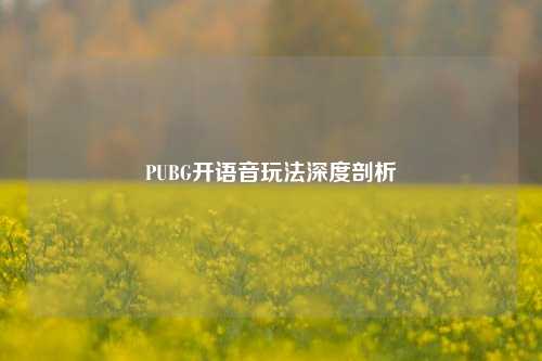 PUBG开语音玩法深度剖析