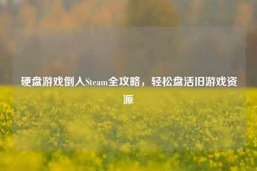 硬盘游戏倒入Steam全攻略,轻松盘活旧游戏资源