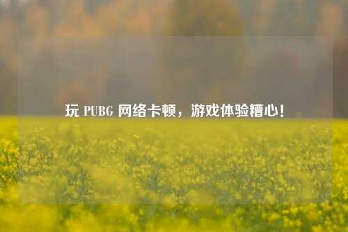 玩 PUBG 网络卡顿,游戏体验糟心!