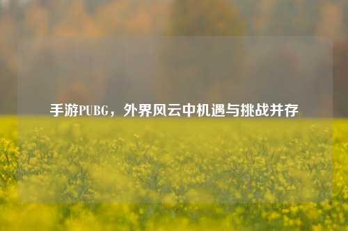 手游PUBG，外界风云中机遇与挑战并存