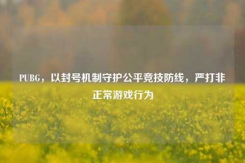 PUBG，以封号机制守护公平竞技防线，严打非正常游戏行为