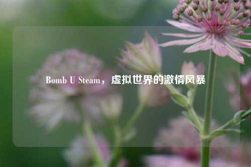 Bomb U Steam，虚拟世界的激情风暴