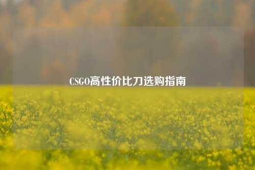 CSGO高性价比刀选购指南