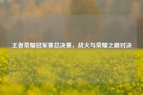 王者荣耀冠军赛总决赛，战火与荣耀之巅对决