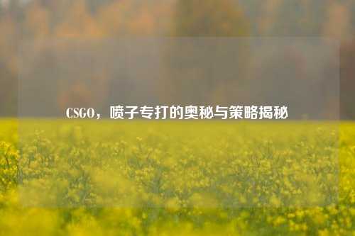 CSGO，喷子专打的奥秘与策略揭秘