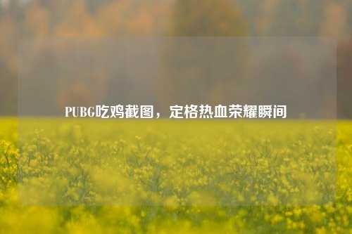 PUBG吃鸡截图，定格热血荣耀瞬间