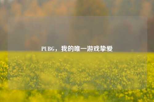 PUBG，我的唯一游戏挚爱