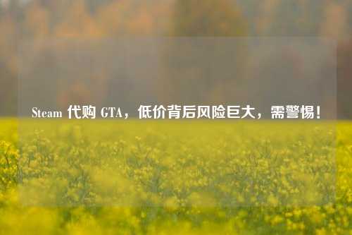 Steam 代购 GTA，低价背后风险巨大，需警惕！