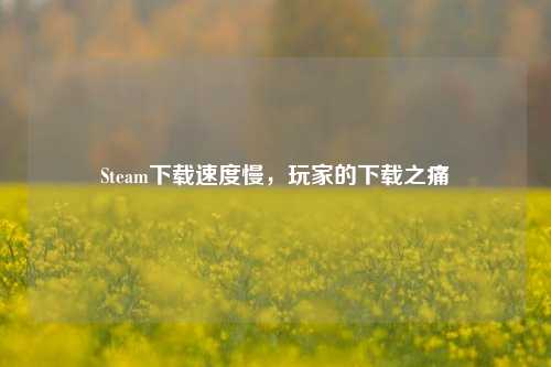 Steam下载速度慢，玩家的下载之痛