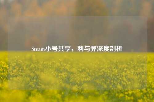 Steam小号共享，利与弊深度剖析