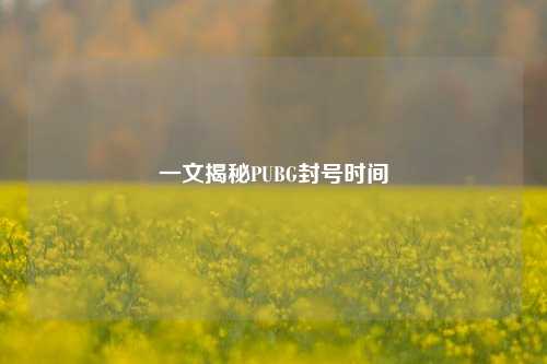 一文揭秘PUBG封号时间