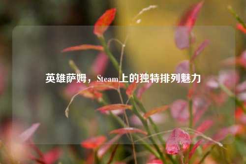 英雄萨姆,Steam上的独特排列魅力