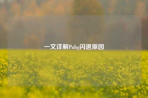一文详解Pubg闪退原因