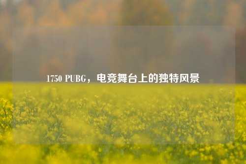 1750 PUBG,电竞舞台上的独特风景