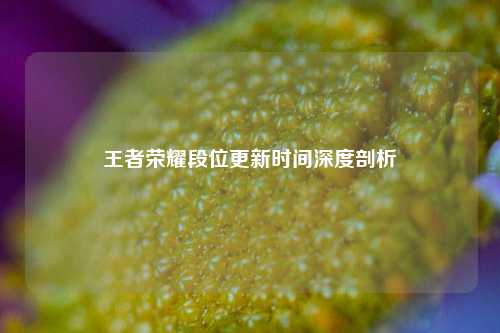 王者荣耀段位更新时间深度剖析