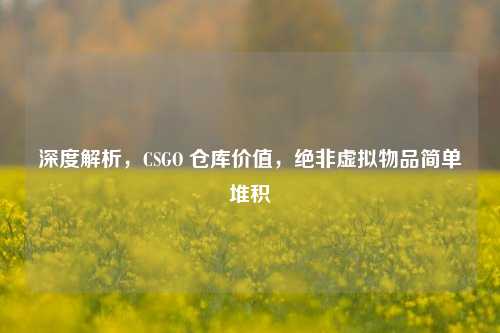 深度解析，CSGO 仓库价值，绝非虚拟物品简单堆积